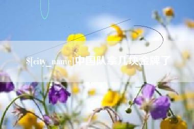 莱芜中国队拿几块金牌了