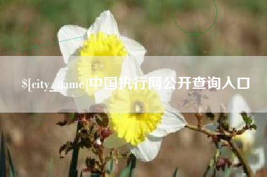 莱芜中国执行网公开查询入口