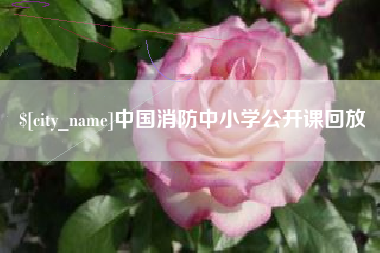 莱芜中国消防中小学公开课回放