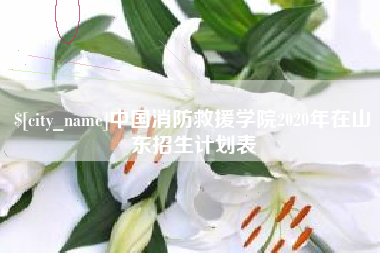 莱芜中国消防救援学院2020年在山东招生计划表