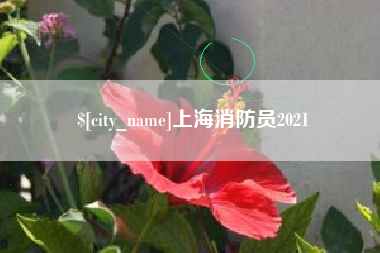 莱芜上海消防员2021