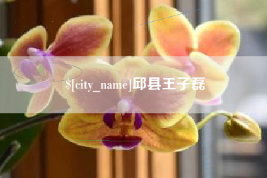 莱芜邱县王子磊