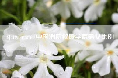 莱芜中国消防救援学院男女比例