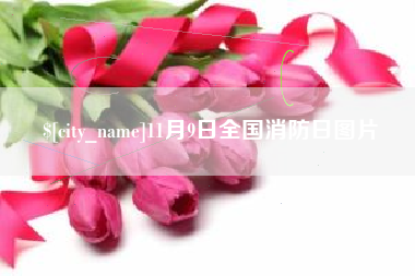 莱芜11月9日全国消防日图片