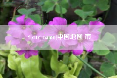 莱芜中国地图 市