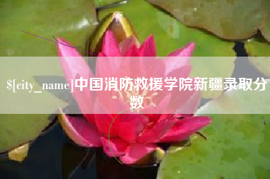 莱芜中国消防救援学院新疆录取分数