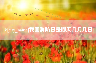 莱芜我国消防日是哪天几月几日