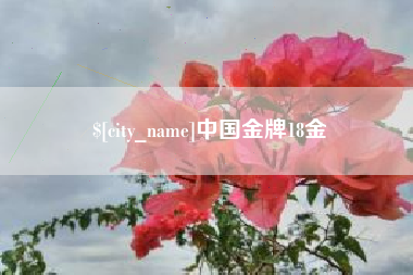 莱芜中国金牌18金