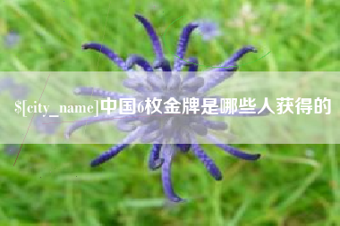 莱芜中国6枚金牌是哪些人获得的