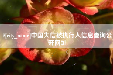 莱芜中国失信被执行人信息查询公开网址