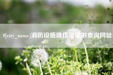莱芜消防设施操作员证书查询网址