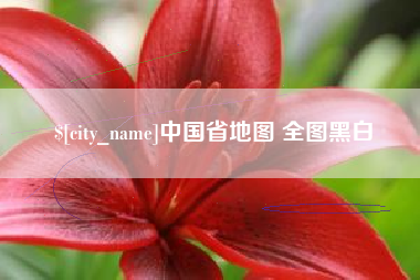 莱芜中国省地图 全图黑白