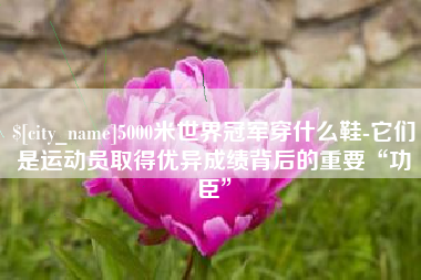 莱芜5000米世界冠军穿什么鞋-它们是运动员取得优异成绩背后的重要“功臣”