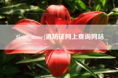莱芜消防证网上查询网站