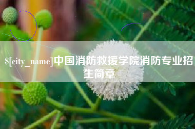 莱芜中国消防救援学院消防专业招生简章