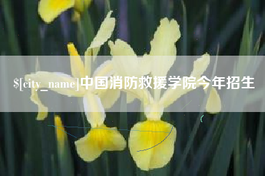 莱芜中国消防救援学院今年招生