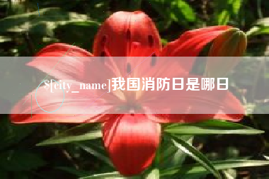莱芜我国消防日是哪日