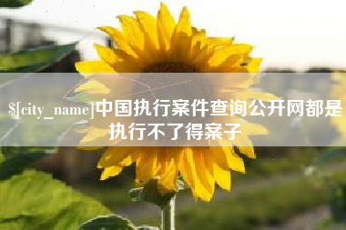 莱芜中国执行案件查询公开网都是执行不了得案子