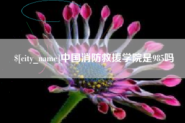 莱芜中国消防救援学院是985吗