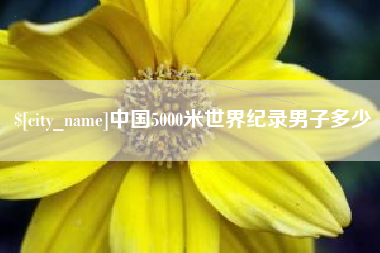 莱芜中国5000米世界纪录男子多少