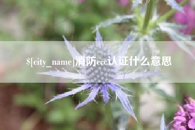莱芜消防ccc认证什么意思