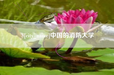 莱芜中国的消防大学