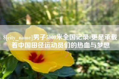 莱芜男子5000米全国记录-更是承载着中国田径运动员们的热血与梦想