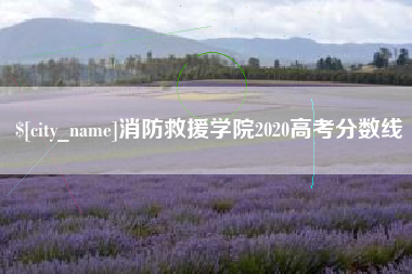 莱芜消防救援学院2020高考分数线