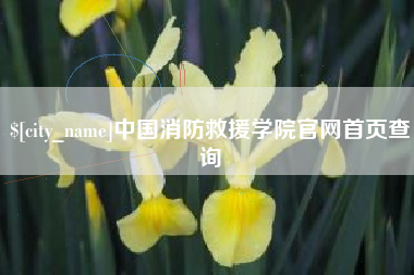 莱芜中国消防救援学院官网首页查询