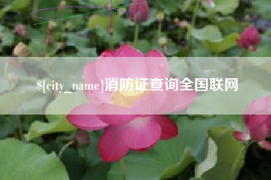 莱芜消防证查询全国联网