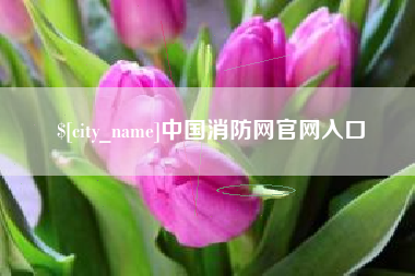 莱芜中国消防网官网入口