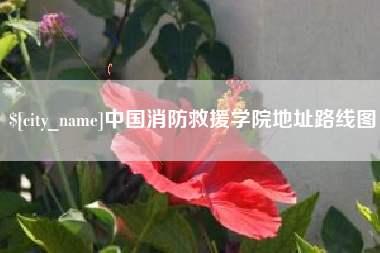 莱芜中国消防救援学院地址路线图