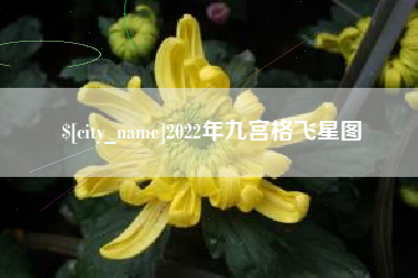 莱芜2022年九宫格飞星图