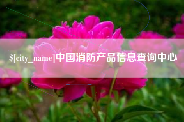 莱芜中国消防产品信息查询中心