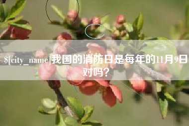莱芜我国的消防日是每年的11月9日对吗？