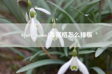 莱芜九宫格怎么排版