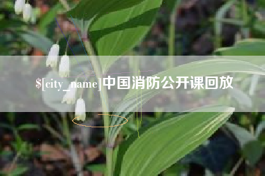 莱芜中国消防公开课回放