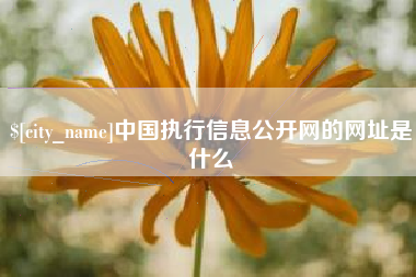 莱芜中国执行信息公开网的网址是什么