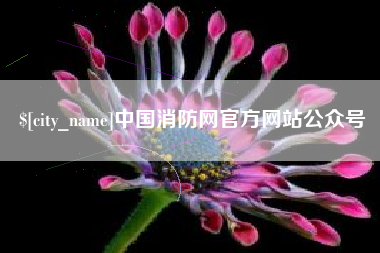 莱芜中国消防网官方网站公众号