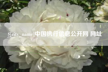 莱芜中国执行信息公开网 网址