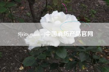 莱芜中国消防产品官网