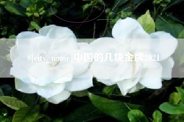 莱芜中国的几块金牌2021