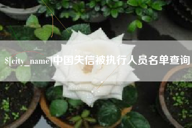 莱芜中国失信被执行人员名单查询