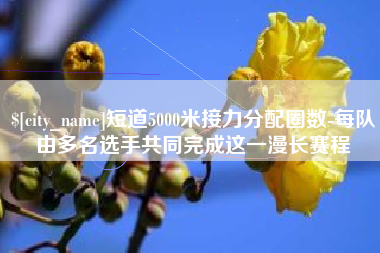 莱芜短道5000米接力分配圈数-每队由多名选手共同完成这一漫长赛程