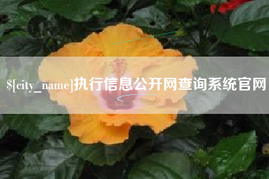 莱芜执行信息公开网查询系统官网
