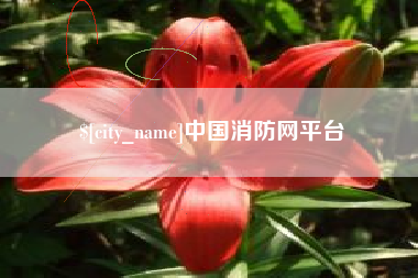 莱芜中国消防网平台