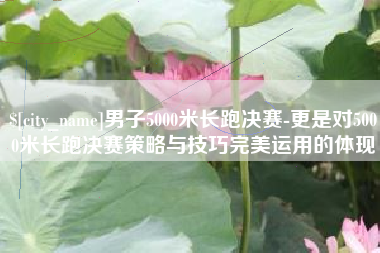 莱芜男子5000米长跑决赛-更是对5000米长跑决赛策略与技巧完美运用的体现