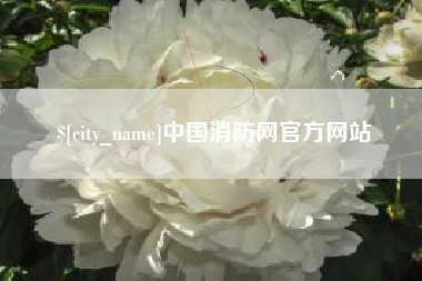 莱芜中国消防网官方网站