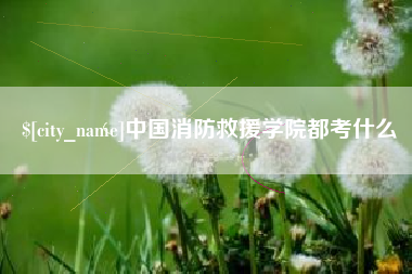 莱芜中国消防救援学院都考什么