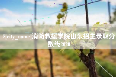 莱芜消防救援学院山东招生录取分数线2020